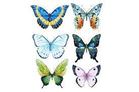 Watercolor Butterflies Png Butterfly Watercolor Butterfly Illustration Butterflies Vector