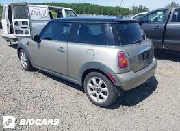 Image result for Pure Silver 2008 Mini