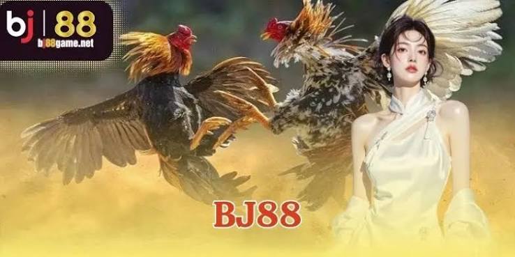 BJ88 - Nhà Cái Casino Uy Tín | Đá Gà Trực Tiếp Số #1 Châu Á