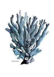 Indigo Blue Coral Art Print Vintage Decor Print Beach Style Sealife Blue Bathroom Blue Coral Wall Art Coral Art Coral Art Print Blue Coral Art