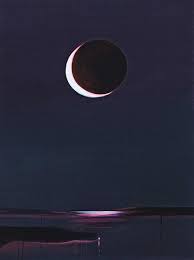 Bildergebnis für Wanda Koop