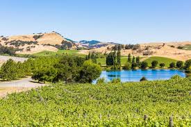 Image result for Wiesneria