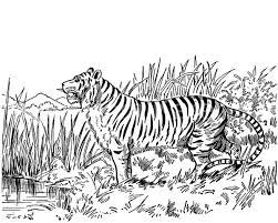 Simply click the free big cat images, print the image and color until your hearts content. Cat Coloring Pages 4