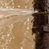 We are the most recommended sprinkler repair contractor in the ie. Https Encrypted Tbn0 Gstatic Com Images Q Tbn And9gcr2eqfj8jdw6oafukbwwparwqs5hotupjkwfaw7ep1vmarmnrpq Usqp Cau