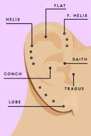Pin On Ear Piercing Map