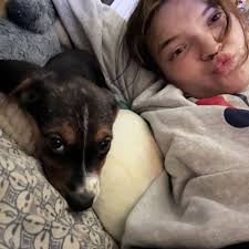 TOP 10 BEST Low Cost Pet Vaccinations in Belleville, IL