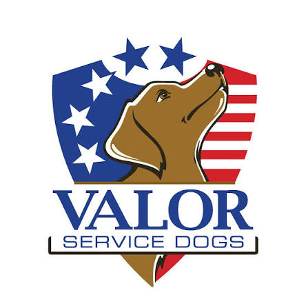 Trained Therapy & Service Dogs | Valor Service Dogs