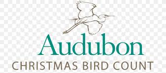 National Audubon Society Christmas Bird Count Conservation Png 705x364px National Audubon Society Audubon Bird Bird Conservation