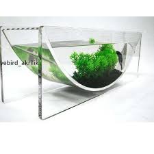 Jadi, meskipun anda hanya menyimpan satu ikan cupang untuk satu akuarium, itu masih menyenangkan. Paling Dicari Aquarium Akrilik Unik Soliter Ikan Cupang Aquarium Ikan Cupang Aquascape Ikan Cup Shopee Indonesia