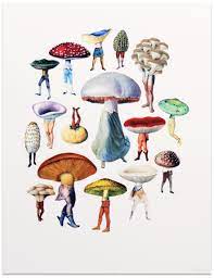 Pixies Mushroom Art Art Art Inspiration