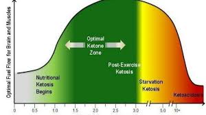 The Ultimate Guide To The Ketogenic Diet Lose Weight Plus