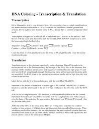 Transcription the code with which to synthesize our hypothetical peptide lies within dna. Dna Coloring Transcription Translation