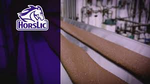 Miss Cal Poly Rodeo, Jane Wood, and...