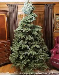 1.1 balsam hill blue spruce artificial christmas tree. This Fraser Fir Christmas Tree Isn T What I Expected Between Naps On The Porch