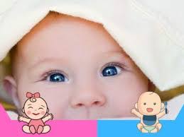 Isabella Meredith's Instagram, Twitter & Facebook