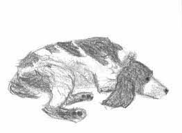 We did not find results for: Dog Lying Down Stock Illustrations 284 Dog Lying Down Stock Illustrations Vectors Clipart Dreamstime