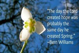 7 Quotes On Spring Spring Quotes Good Morning Quote Morning Quotes