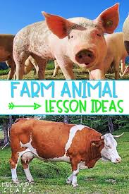 Fun On The Farm Learning About Farm Animals Animal Lessons Farm Animals Activities Animal Activities