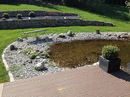 Teich Bepflanzen Die Besten Tipps Die Grossten Fehler