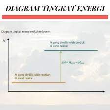 Gambarlah diagram tingkat energi untuk keempat reaksi tersebut ? Pliss Jawab Dgn Benar Ya Gaess Sama Caranya Juga Brainly Co Id
