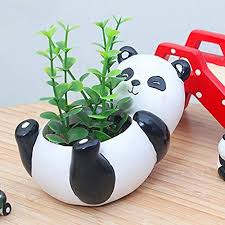 Panda Home Kitchen Stuff Panda Things Succulent Pots Flower Pots Flower Pot Garden