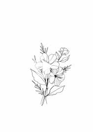 25 Beautiful Flower Drawing Information Ideas In 2020 Flower Drawing Beautiful Flower Drawings Beautiful Flowers
