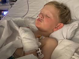 Fundraiser for Tara Cox by Shane Sexton : Help Leo recover