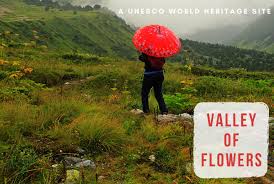 Must read about valley of flowers trek. Valley Of Flowers Luxury Trekking Package From Joshimath