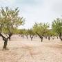 Fruit Growers Supply - Porterville from fruitgrowers.com