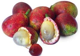 Sebagai sumber pensuplay oksigen & penetralisir karbon dioksida, keberadaan pohon sangat penting bagi lingkungan kita. Cara Budidaya Pohon Matoa Dalam Pot Agar Cepat Berbuah Faunadanflora Com