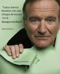 Libélulas en mi jardín.