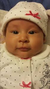 sandra coy (@sandracoynino)