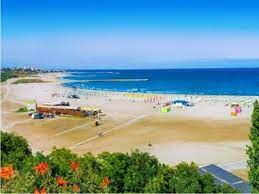 Primăria municipiului craiova, craiova, consiliul local craiova, dolj, lia olguţa vasilescu, primar, biografie, atributii, realizari, obiective, primărie. Vouchere VacanÈ›Äƒ 2019 Cat ValoreazÄƒ Acestea È™i Cand Vor Putea Fi Acordate Pe Legea NouÄƒ