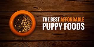 5 best cheap puppy foods w puppy feeding guide puppy feeding guide dog food recipes puppy food