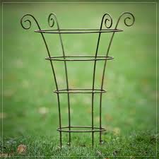 Small Rusted Ferro Tulip03 Jpg Plant Supports Metal Garden Trellis Peony Support