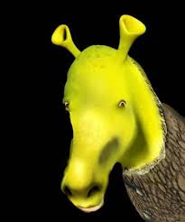 59 Trendy Ideas Memes Shrek Dank Shrek Memes Shrek Funny Memes