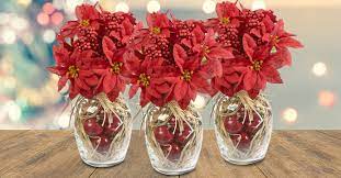 When it comes to seasonal decor at affordable prices, dollar general has you covered! Festive Poinsettia And Apple Bouquet Dollar Tree