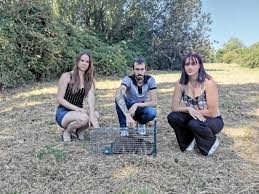 Maybe you would like to learn more about one of these? Lisieux Une Nouvelle Association Pour Promouvoir La Sterilisation Des Chats Le Pays D Auge