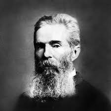 Elizabeth Ammons's Instagram, Twitter & Facebook