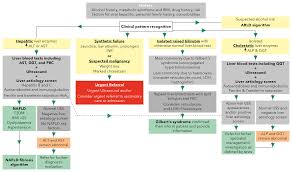 Muscle Enzyme Level Chart Blood Test Reference Chart Dog