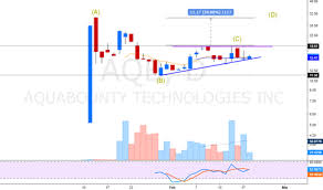 Abcd Pattern For Nasdaq Aqb By Antonionavi Tradingview