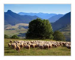 Selbstverständlich gibt es ebenso andere bewertungen, die tendenziell ein klein bisschen unzufrieden sind, doch solche sind zweifellos in der minderheit. Orava Eine Landschaft In Der Slowakei Foto Bild Europe Slovakia Hungary Slovakia Bilder Auf Fotocommunity