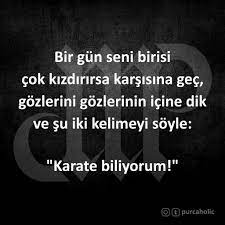 Bir Gun Seni Birisi Cok Kizdirirsa Karsisina Gec Gozlerini Gozlerinin Icine Dik Ve Su Iki Kelimeyi Soyle Karate Bil The North Face Logo Karate Retail Logos