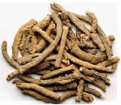 Image result for Polygala persicariifolia