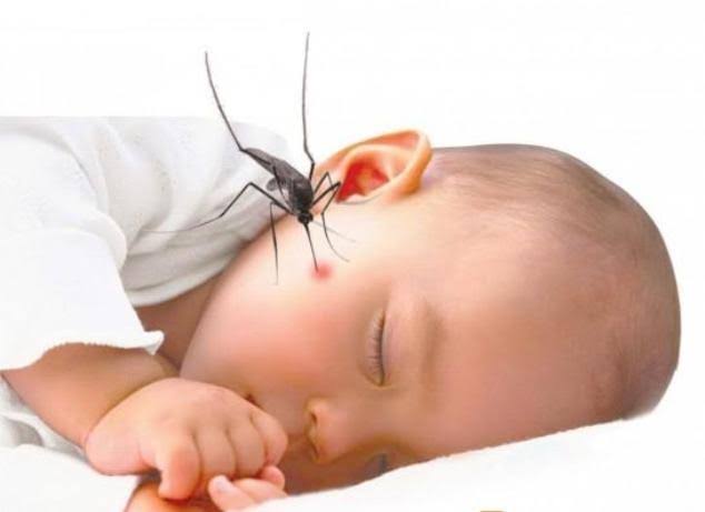 Nhấn vào ảnh để phóng to Chăm sóc trẻ sốt xuất huyết và những điều phụ huynh cần lưu ý - Bệnh Viện Nhi Đồng Thành Phố