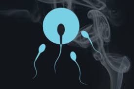 Are you looking for an online vape shop that serves the austin, tx area? How Stopping Smoking Boosts Your Fertility Naturally Health Essentials From Cleveland Clinic