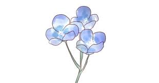 ネモフィラのイラスト 花 イラスト イラスト ネモフィラ