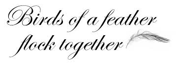 Birds Of A Feather Flock Together Similar Quotes Birds Of A Feather Flock Together Google Search Bird Feathers Bird Quotes Advice Quotes