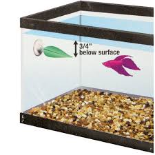Betta Hammock That Fish Place Betta Betta Fish Betta Tank