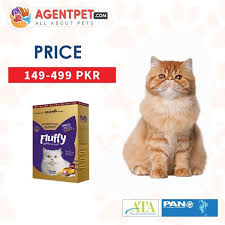 Fluffy Cat Food In 2020 Fluffy Cat Cat Food Cats
